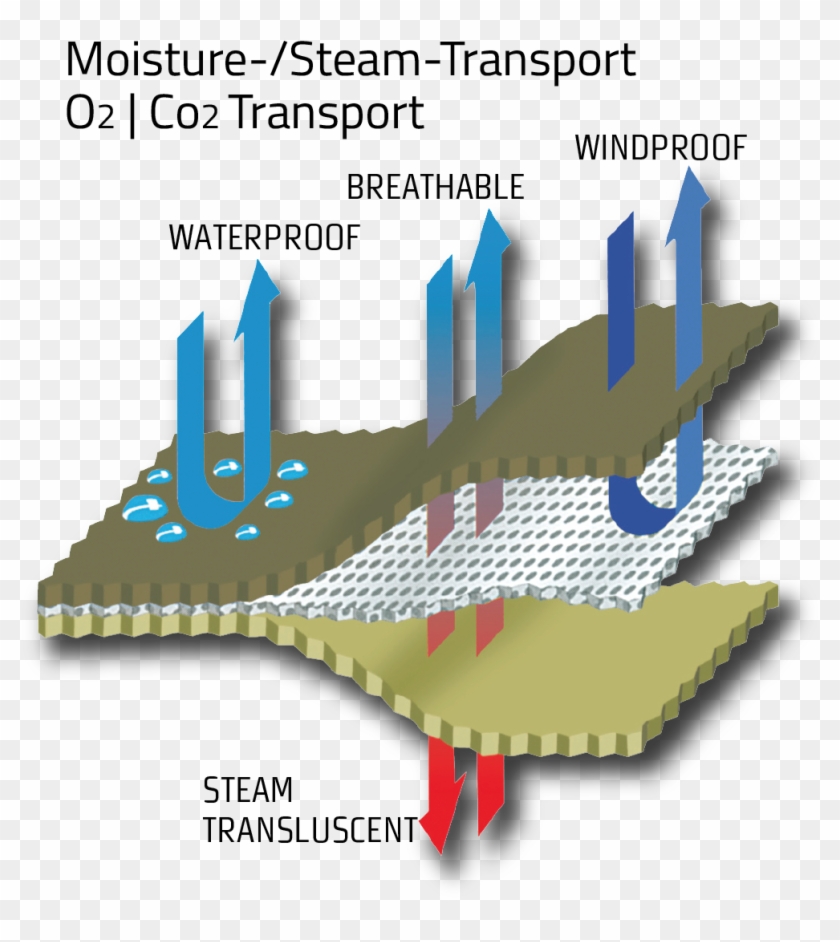 Gore-tex® - Gore Tex Clipart