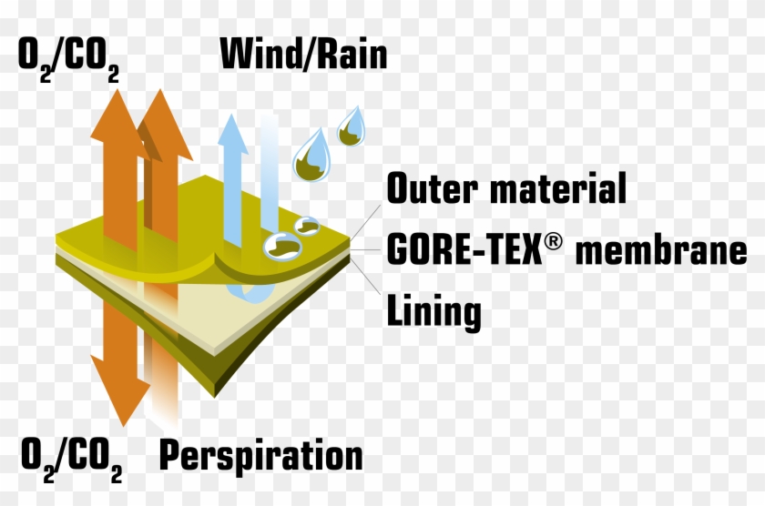 Gore Grafik - Snowtrex Clipart