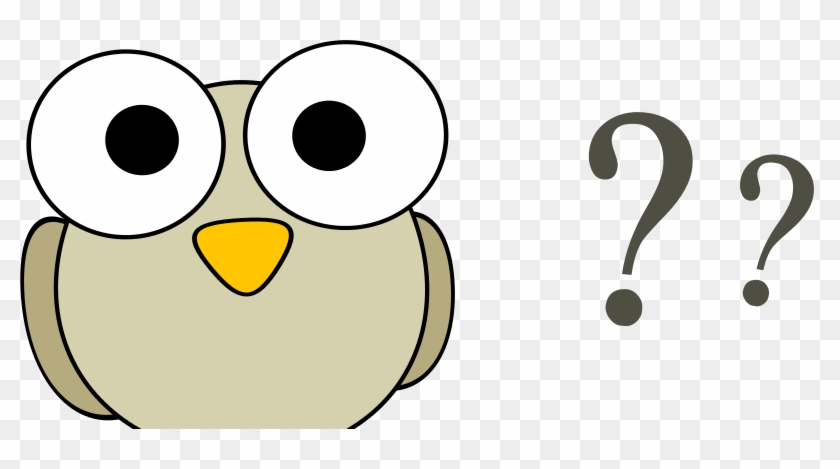 Why Do Birds - Bird Face Clipart - Png Download #1442524