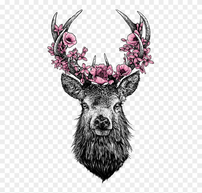 Cute & Dark <3 - Deer Transparent Clipart