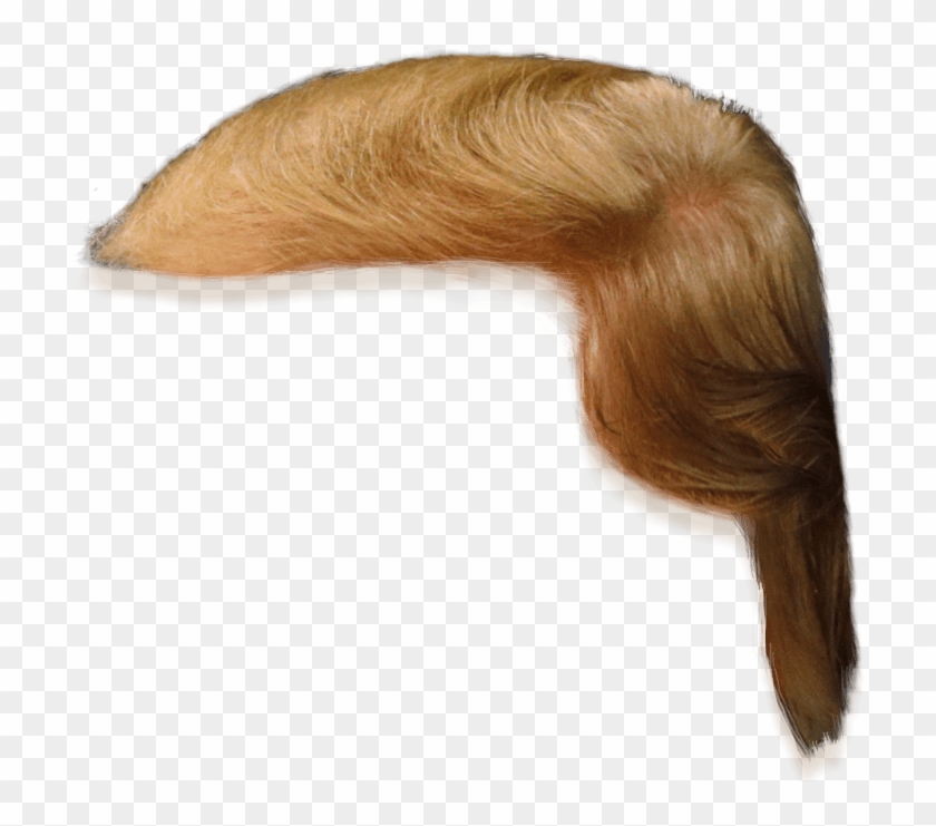 Donald Trump Hair Clip Art - Png Download #1443854