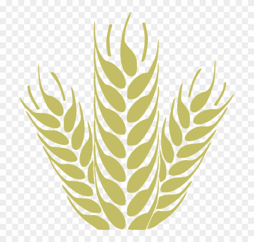 Corn, Grain, Spica, Wheat, Cereals, Harvest - Cereais Desenho Png Clipart