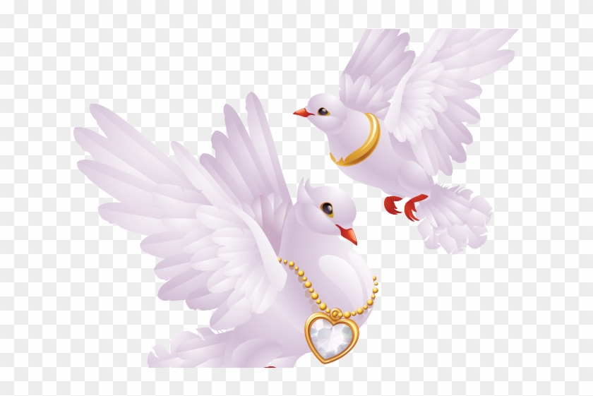 Pigeon Clipart Paloma - Good Morning Happy Wednesday Friend - Png Download