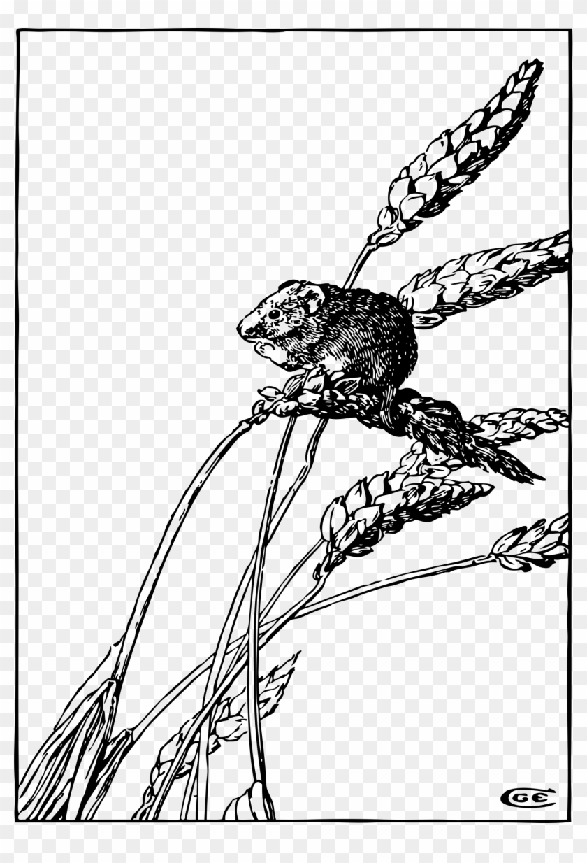 This Free Icons Png Design Of Harvest Mouse Clipart #1446174