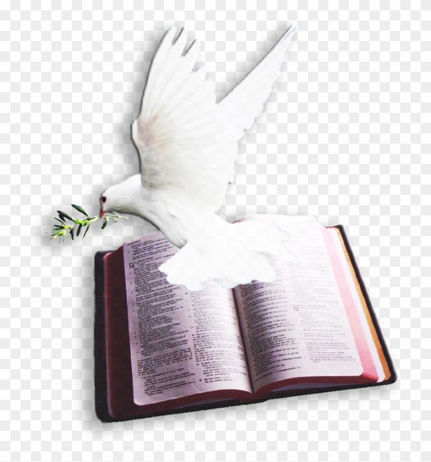 Bible With Dove Logo Clipart #1446337