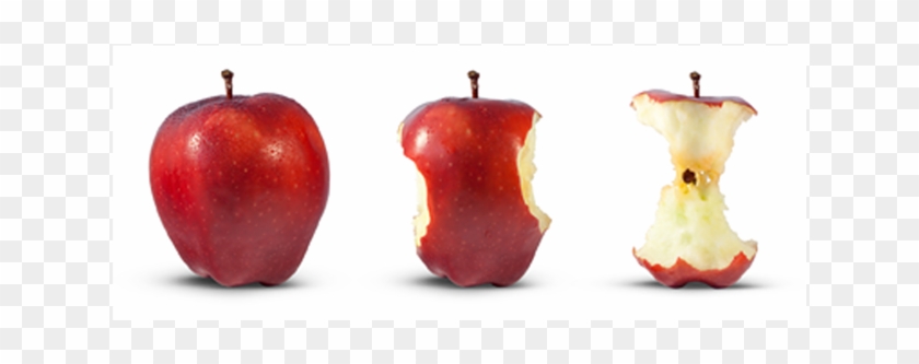 Do You Want To Make A Difference And Enjoy Some Apples - Apple Clipart #1446572