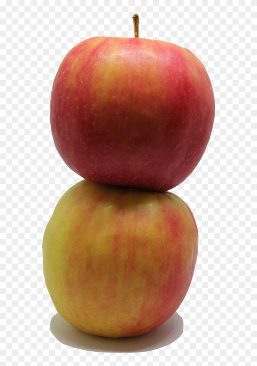 Apple Fruit Png - Frutas Png Clipart #1446623
