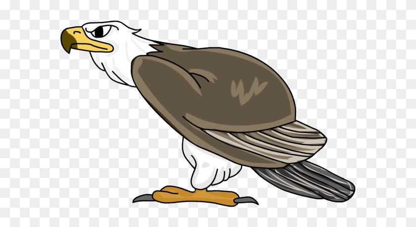 Águila - Bald Eagle Clipart #1446749