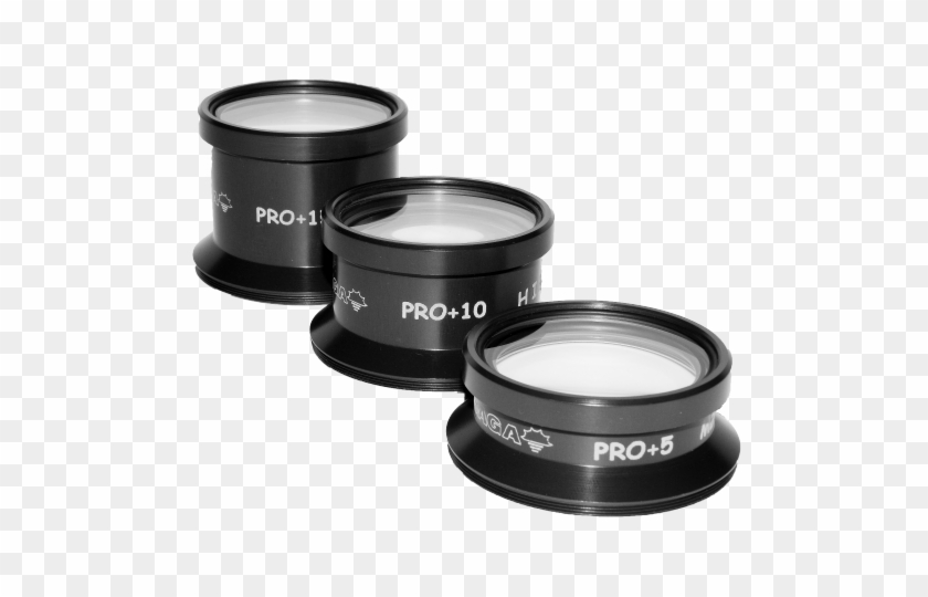 Lentes Macro Saga Clipart #1446799