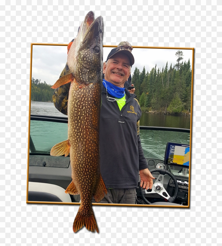 Pull Fish Out Of Water Clipart