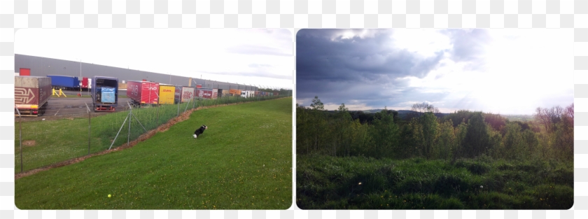 Axa Ppp Healthcare Are Holding A Live Chat Where Health - Grass Clipart #1449839