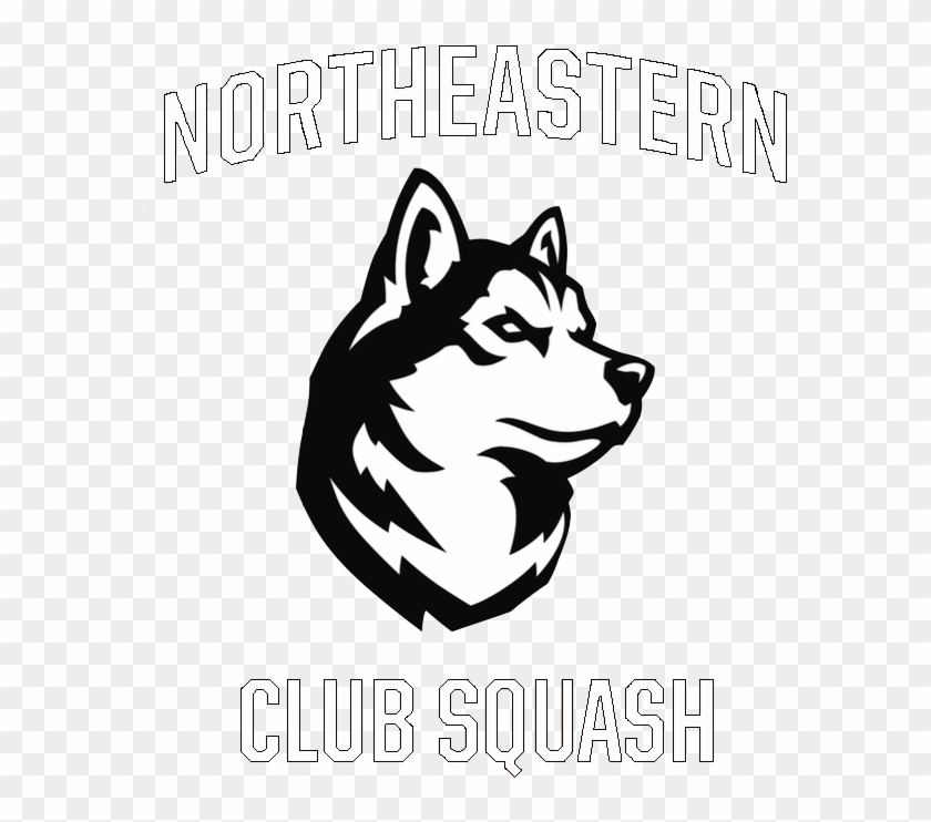 Nu Squash - Northeastern Huskies Clipart