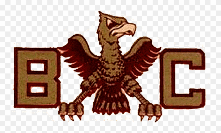 Boston College Eagles Iron On Stickers And Peel-off - Buzzard Clipart #1450914