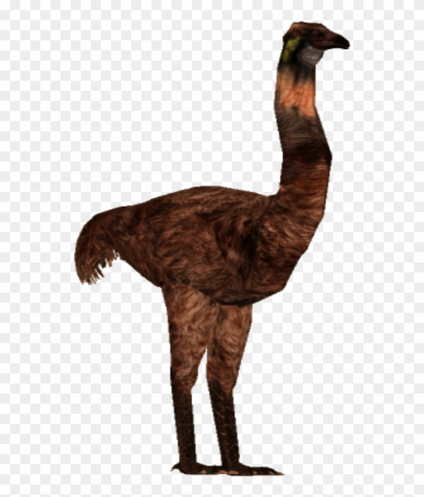 Image Giant Tyranachu Zt Download Library Wiki - Transparent Dinornis Clipart