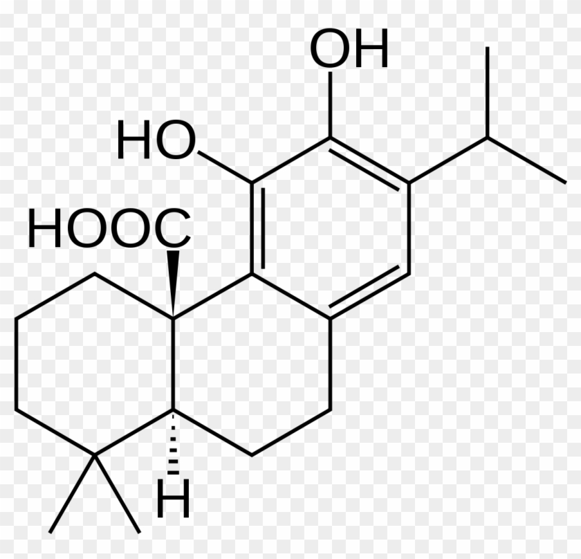 Carnosic Acid - 4 Amino 2 Methylphenol Clipart #1453074