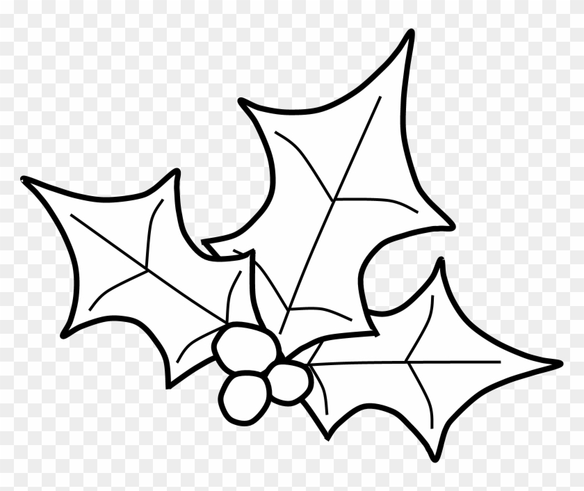 Holly, Berries, Leaves Spread, Black And White, Png - Sketch Clipart