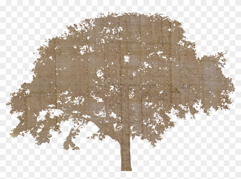 Tree - Free Tree Silhouette Png Clipart #1453477
