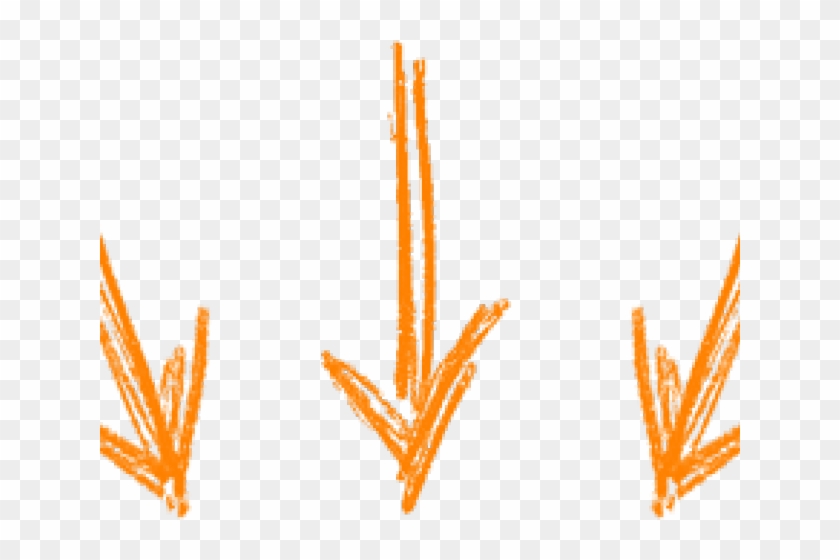Drawn Arrow Orange - Business Clipart #1453566