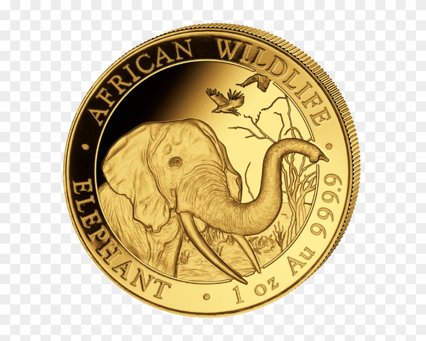 Somalia Elephant 1oz Gold Coin 2018 Motif - Onze Gold Bullion Coin Clipart