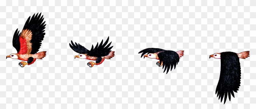Hd Img, Flight Of The Eagle Clipart