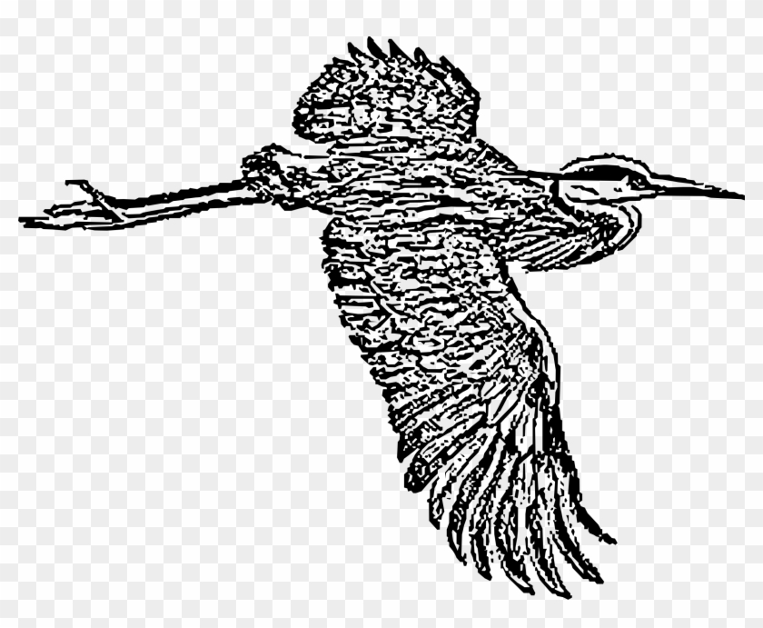 This Free Icons Png Design Of Great Blue Heron In Flight Clipart