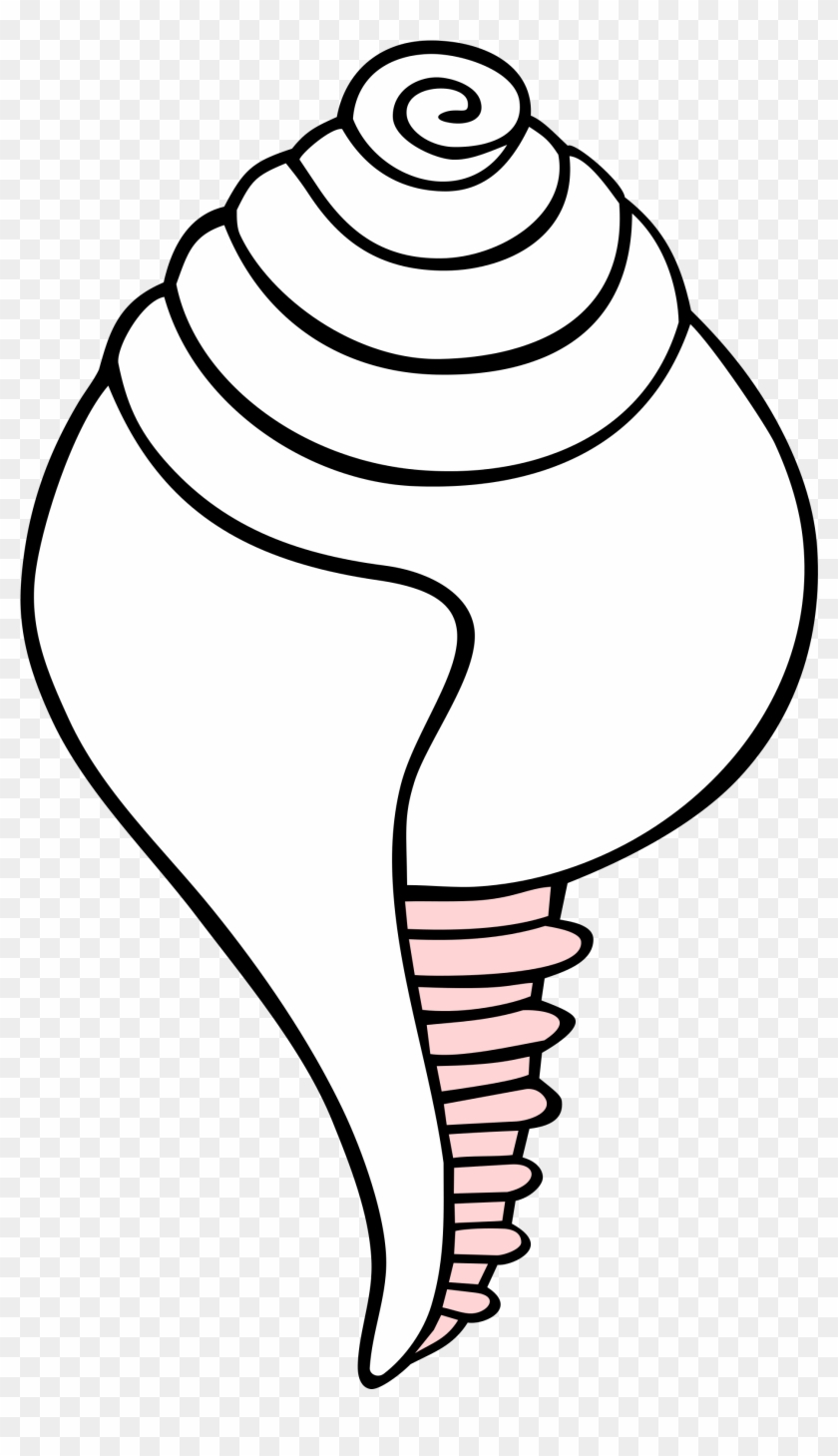 2000 X 3314 5 - Outline Picture Of Conch Clipart