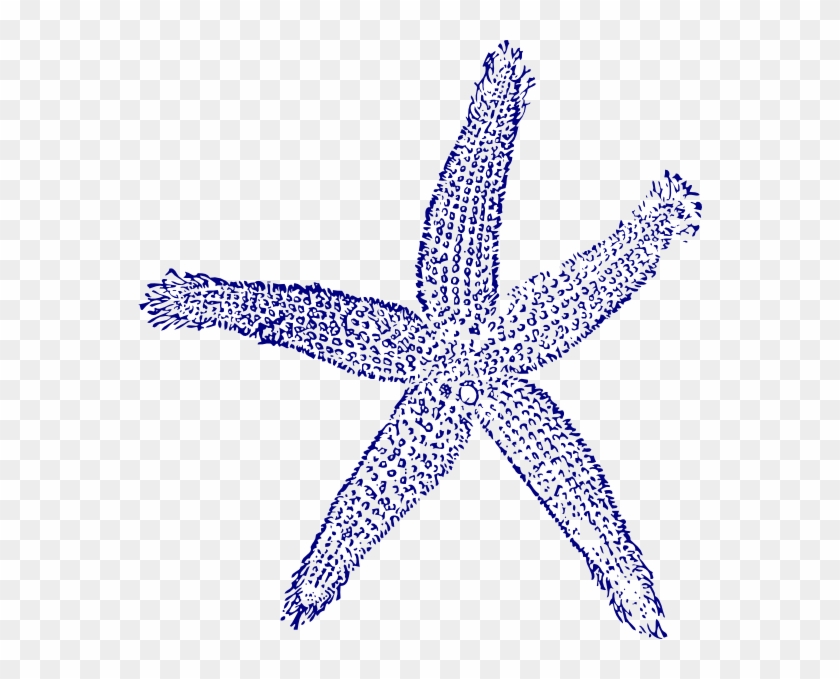 Maehr Starfish Wedding Svg Clip Arts 564 X 599 Px - Png Download #1456965