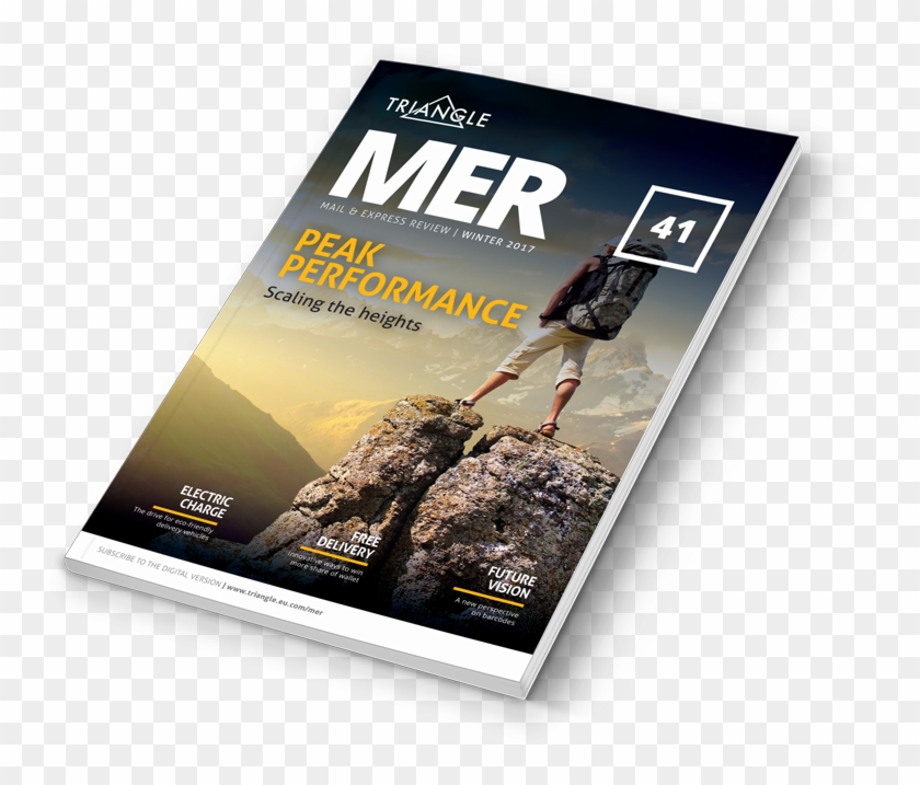 Download Order Form - Flyer Clipart