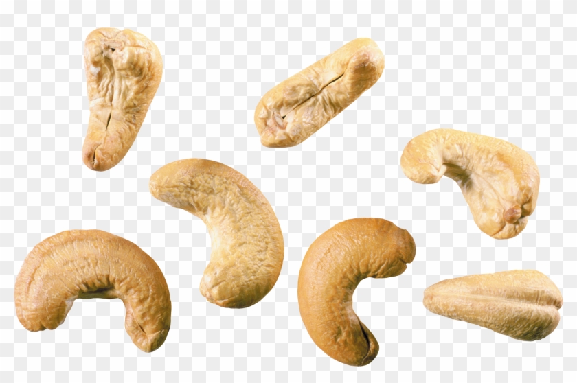 Cashew Nut Png - Peanut Clipart #1458675