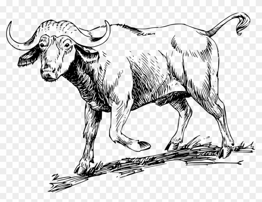 Water Buffalo American Bison African Buffalo Computer - Buffalo Clipart Black And White - Png Download
