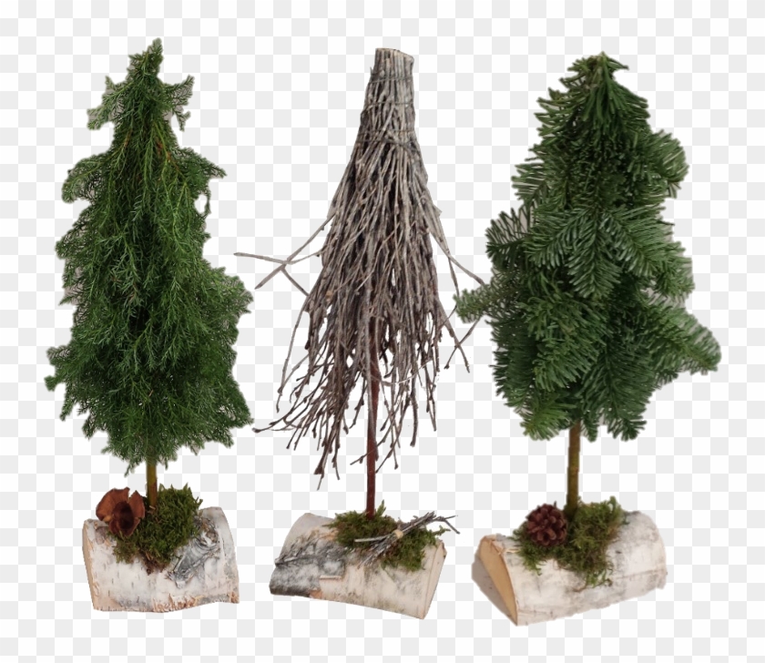 330046 Decotree Cm - Christmas Tree Clipart