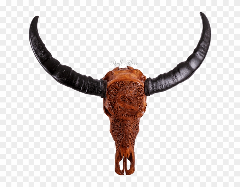 Carved Buffalo Skull - Horn Clipart