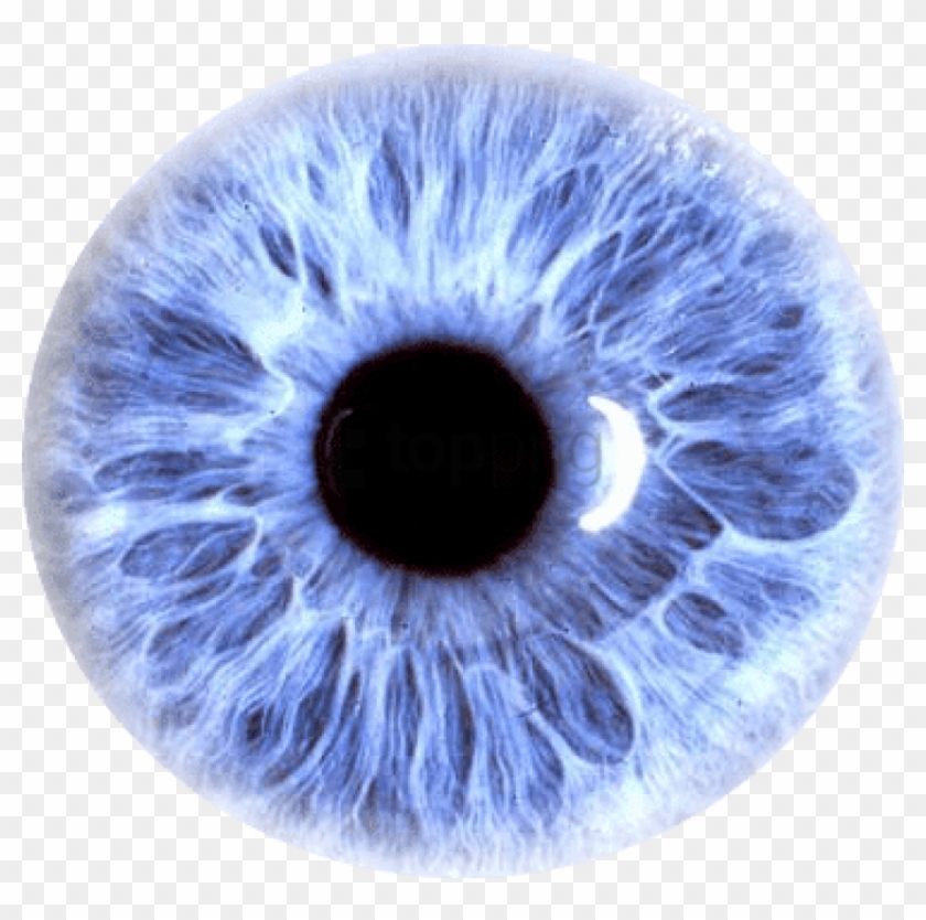 Free Png Download Eye Purple Png Images Background - Eye Png Clipart #1463402