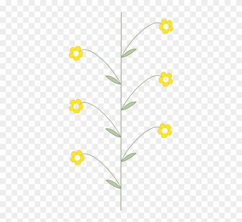 Raceme, Deutzia Gracilis Raceme - Common Tansy Clipart