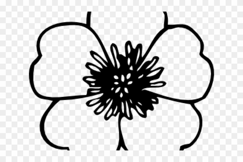 Morning Glory Clipart Mogra - Clipart Flower Black And White Free - Png Download