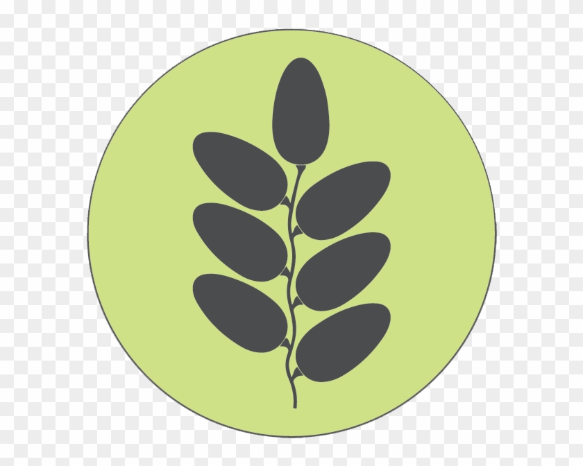 Distinguished Producers In Date Palm Sector - Circle Clipart