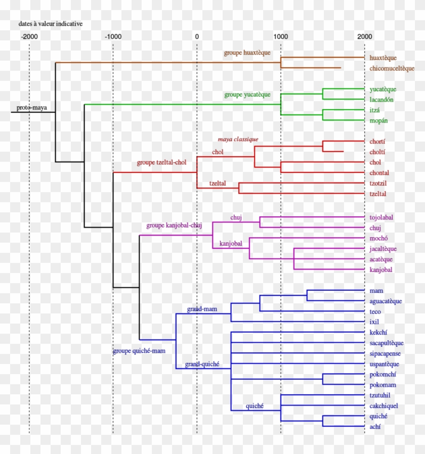 Tree Of Maya Languages - Maya Languages Clipart