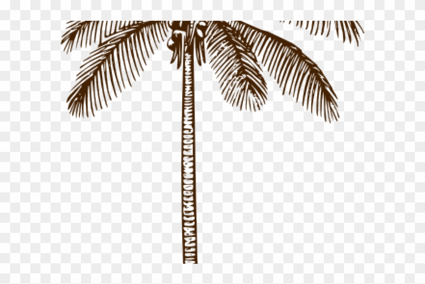 Date Palm Clipart Navy Blue - Pink Palm Tree Png Transparent Png