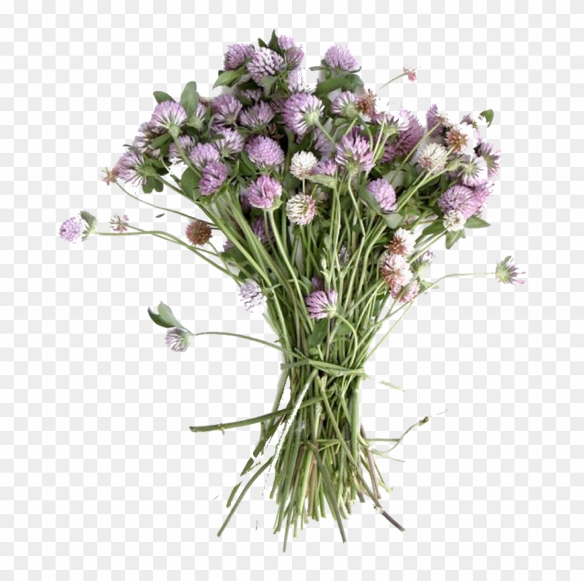 Pngs /like Or Reblog If Used/ - Bouquet Clipart #1467578