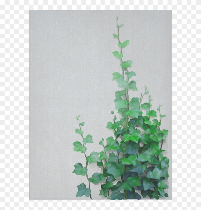 Green Creeper Wall Painting Clipart