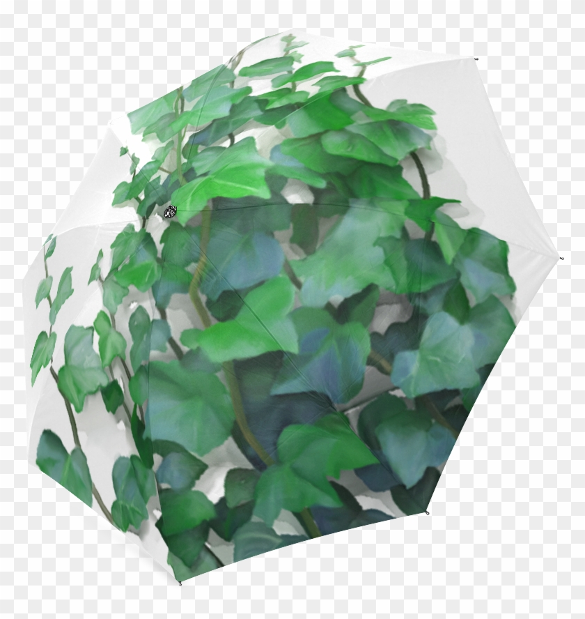 Climbing Plants Png Clipart