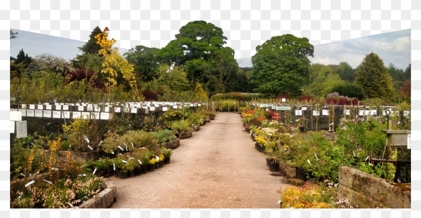 Our Aim - Botanical Garden Clipart