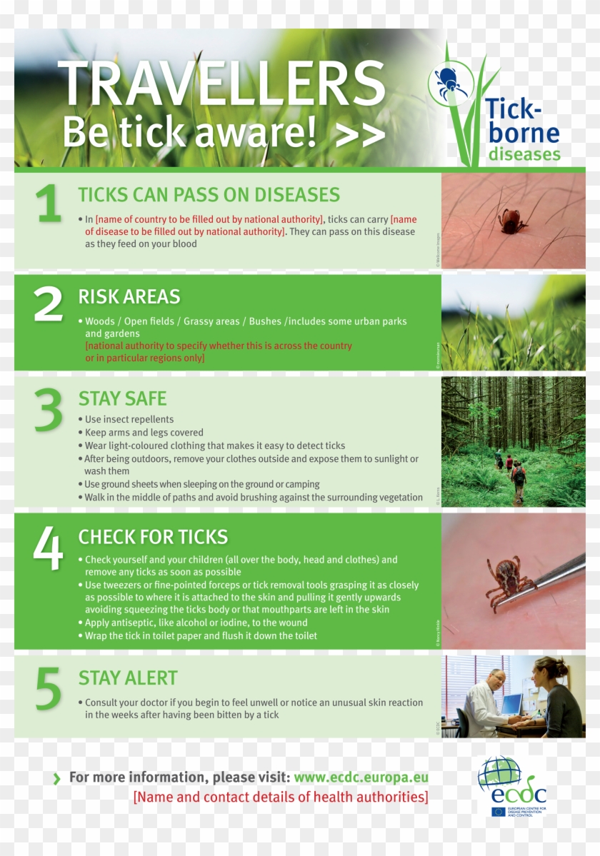 Poster For Travellers On Ticks, Tickborne Diseases Clipart
