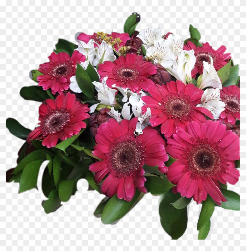 #flowers #bucket #red #redwhite #white #redflowers - Barberton Daisy Clipart