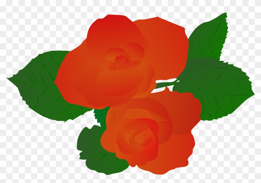 Illustration Illustrator Plant Rose Hand Drawn Red - Vector Graphics Clipart #1470523