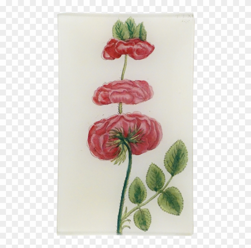 Garden Roses Clipart #1470745