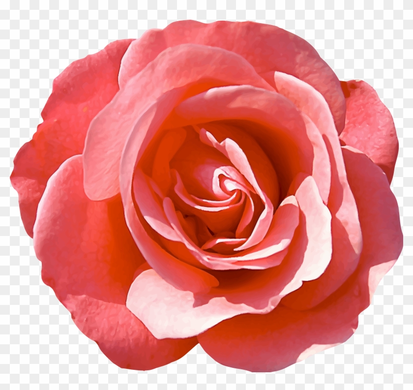 This Free Icons Png Design Of Rose 16 Clipart #1470908