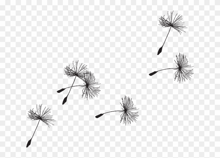 Free Vector Graphic - Dandelion Seed Tattoo Design Clipart