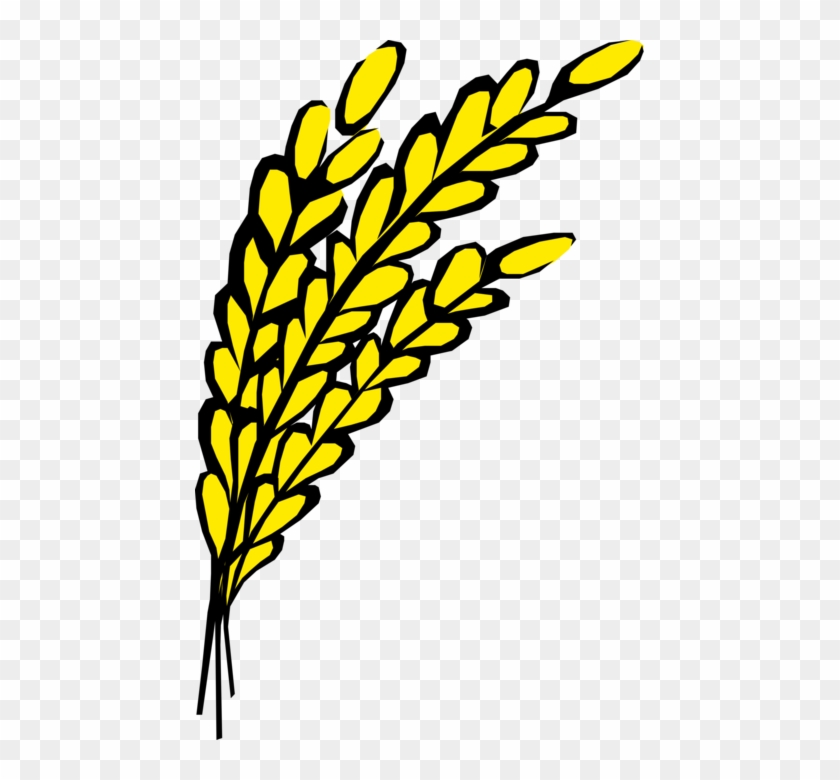 Vector Illustration Of Wheat Grain Of Cereal Grass - Oats Clip Art - Png Download