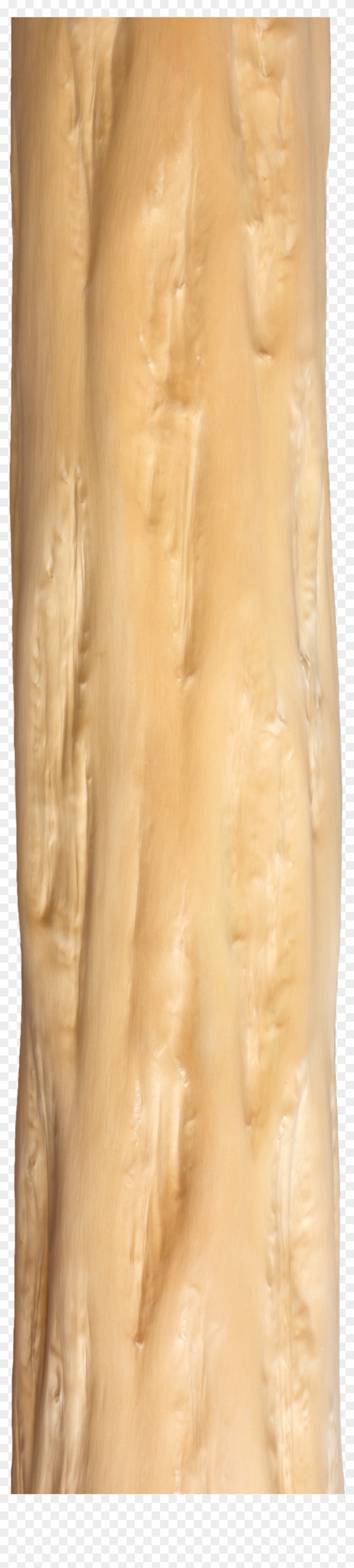 Kitayama Sugi Jinzo Henshibo - Tree Wood Pic Png Clipart